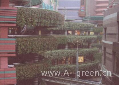 www.A--green.cn