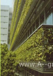 www.A-green.cn