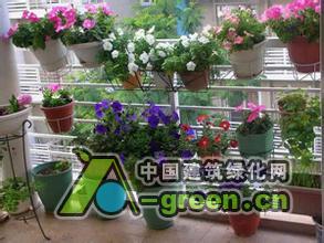 一张微绿化景观照片