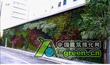 绿化墙图片