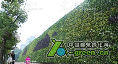 绿化墙图片