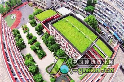 上海虹口实验学校的屋顶绿化图片