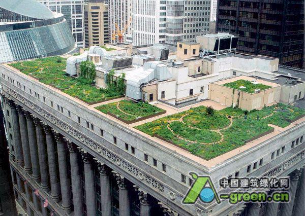 芝加哥市政屋顶花园的图片