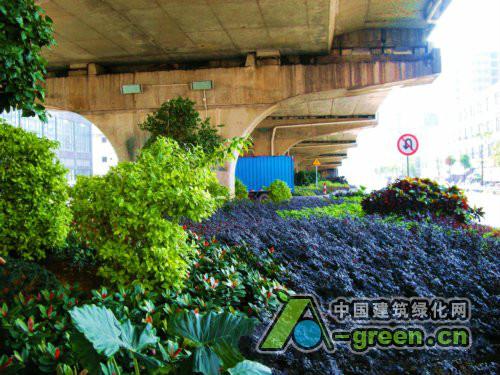高架桥桥下绿化