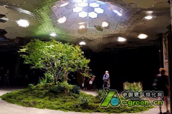 纽约底下公园的照片