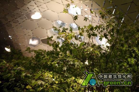 纽约底下公园的照片