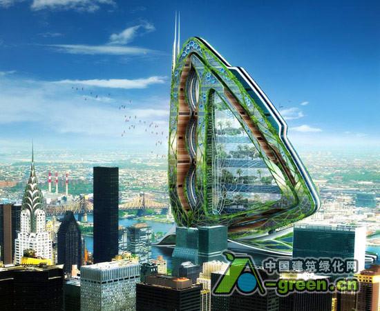 纽约蜻蜓的照片