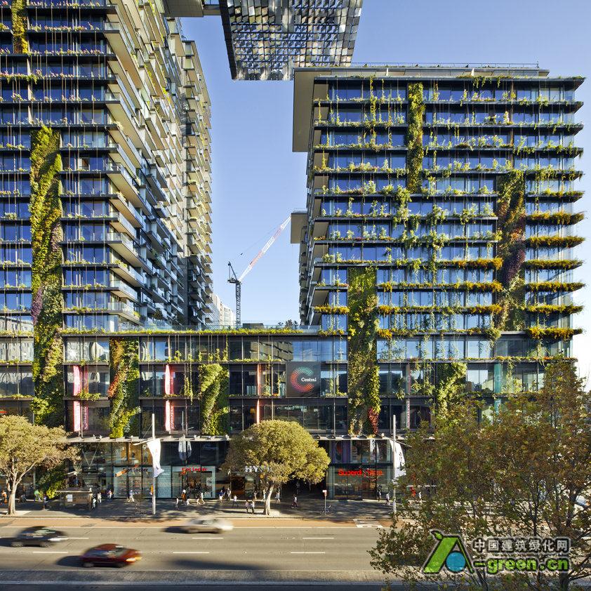 悉尼垂直绿色公寓