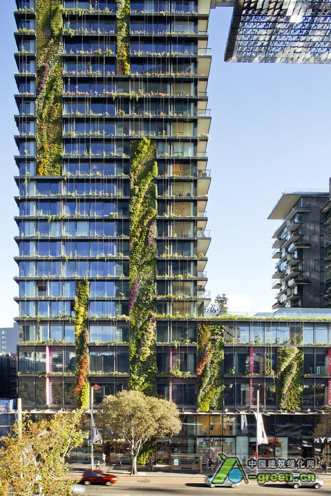 悉尼绿色垂直公寓