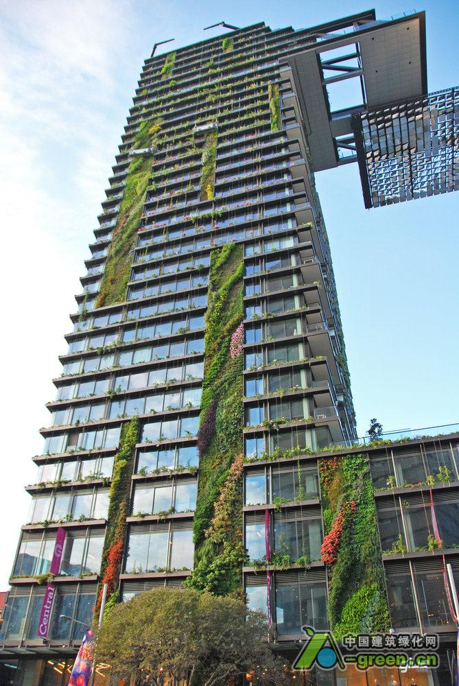 悉尼垂直绿色公寓