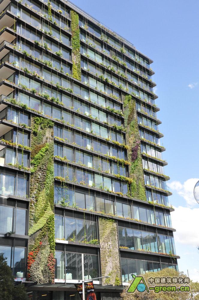 悉尼垂直绿色公寓