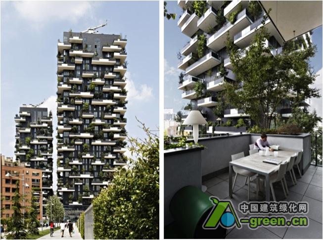 意大利垂直绿色森林