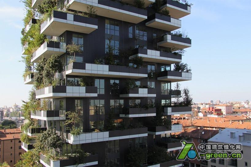 意大利垂直绿色森林