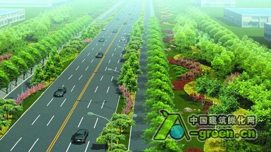 盐城大丰区长:抢抓有利时机 推进春季绿化工作