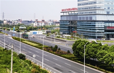 道路绿化专项整治 大江东“九纵十一横”颜值大提升